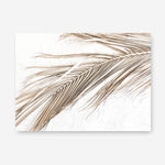 Shop Dried Palm Leaf I Photo Canvas Print a coastal themed photography framed stretched canvas print from The Print Emporium wall artwork collection - Buy Australian made prints for the home and your interior decor space, TPE-1234-CA-35X46-NF