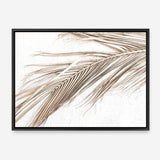 Shop Dried Palm Leaf I Photo Canvas Print a coastal themed photography framed stretched canvas print from The Print Emporium wall artwork collection - Buy Australian made prints for the home and your interior decor space, TPE-1234-CA-35X46-NF