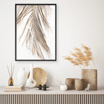 Shop Dried Palm Leaf II Photo Art Print a coastal themed photography wall art print from The Print Emporium wall artwork collection - Buy Australian made fine art poster and framed prints for the home and your interior decor, TPE-1235-AP