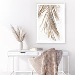 Shop Dried Palm Leaf II Photo Art Print a coastal themed photography wall art print from The Print Emporium wall artwork collection - Buy Australian made fine art poster and framed prints for the home and your interior decor, TPE-1235-AP