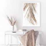 Shop Dried Palm Leaf II Photo Art Print a coastal themed photography wall art print from The Print Emporium wall artwork collection - Buy Australian made fine art poster and framed prints for the home and your interior decor, TPE-1235-AP