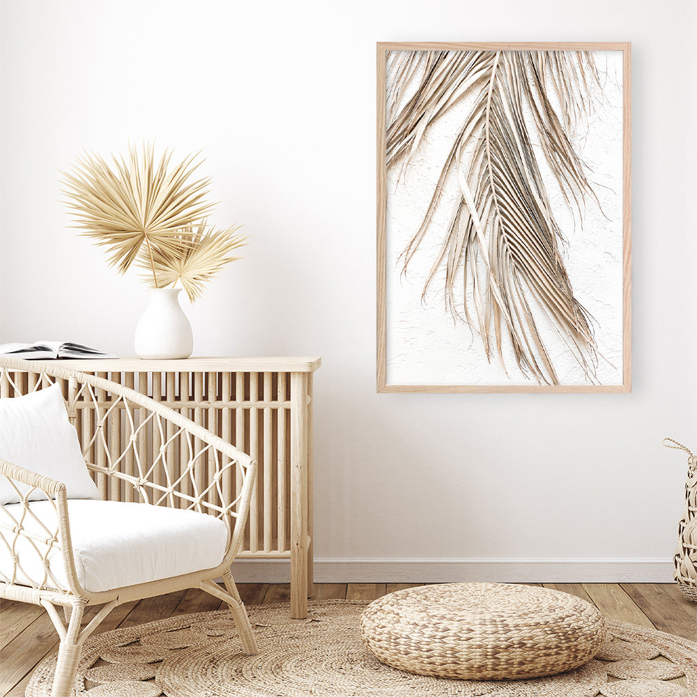 Shop Dried Palm Leaf II Photo Art Print a coastal themed photography wall art print from The Print Emporium wall artwork collection - Buy Australian made fine art poster and framed prints for the home and your interior decor, TPE-1235-AP