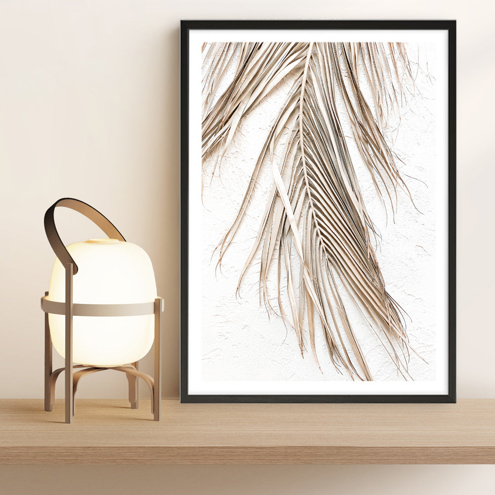 Shop Dried Palm Leaf II Photo Art Print a coastal themed photography wall art print from The Print Emporium wall artwork collection - Buy Australian made fine art poster and framed prints for the home and your interior decor, TPE-1235-AP
