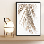 Shop Dried Palm Leaf II Photo Art Print a coastal themed photography wall art print from The Print Emporium wall artwork collection - Buy Australian made fine art poster and framed prints for the home and your interior decor, TPE-1235-AP