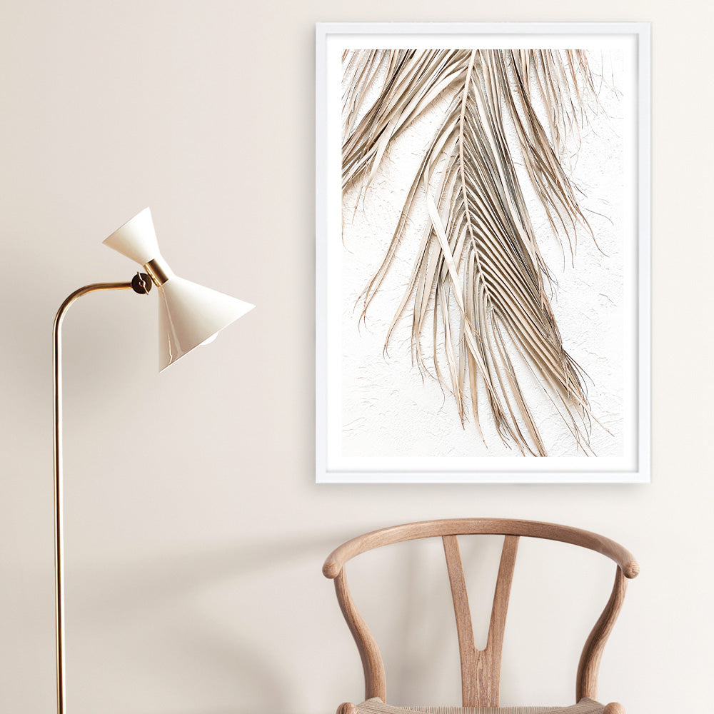 Shop Dried Palm Leaf II Photo Art Print a coastal themed photography wall art print from The Print Emporium wall artwork collection - Buy Australian made fine art poster and framed prints for the home and your interior decor, TPE-1235-AP