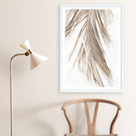 Shop Dried Palm Leaf II Photo Art Print a coastal themed photography wall art print from The Print Emporium wall artwork collection - Buy Australian made fine art poster and framed prints for the home and your interior decor, TPE-1235-AP