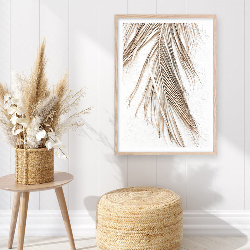 Shop Dried Palm Leaf II Photo Art Print a coastal themed photography wall art print from The Print Emporium wall artwork collection - Buy Australian made fine art poster and framed prints for the home and your interior decor, TPE-1235-AP