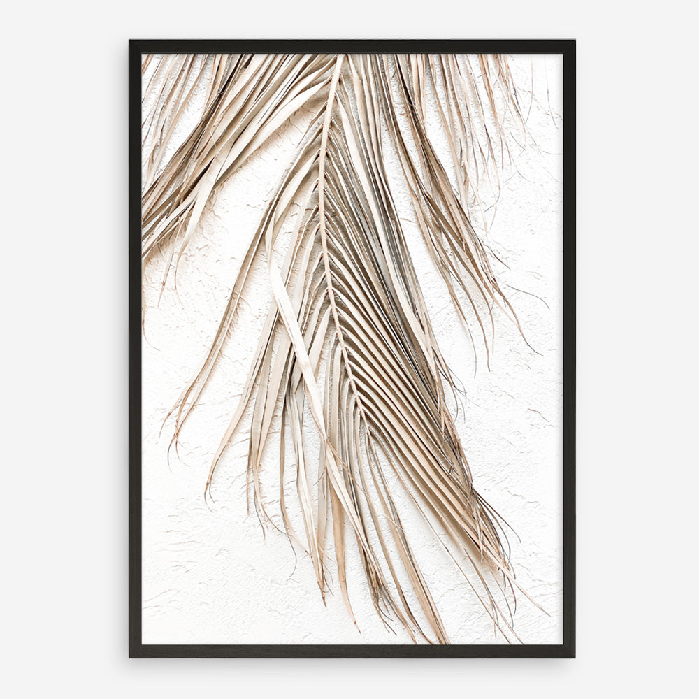 Shop Dried Palm Leaf II Photo Art Print a coastal themed photography wall art print from The Print Emporium wall artwork collection - Buy Australian made fine art poster and framed prints for the home and your interior decor, TPE-1235-AP
