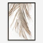 Shop Dried Palm Leaf II Photo Art Print a coastal themed photography wall art print from The Print Emporium wall artwork collection - Buy Australian made fine art poster and framed prints for the home and your interior decor, TPE-1235-AP