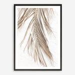 Shop Dried Palm Leaf II Photo Art Print a coastal themed photography wall art print from The Print Emporium wall artwork collection - Buy Australian made fine art poster and framed prints for the home and your interior decor, TPE-1235-AP