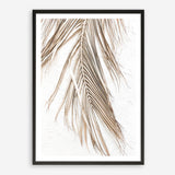 Shop Dried Palm Leaf II Photo Art Print a coastal themed photography wall art print from The Print Emporium wall artwork collection - Buy Australian made fine art poster and framed prints for the home and your interior decor, TPE-1235-AP