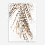 Shop Dried Palm Leaf II Photo Art Print a coastal themed photography wall art print from The Print Emporium wall artwork collection - Buy Australian made fine art poster and framed prints for the home and your interior decor, TPE-1235-AP