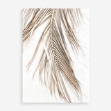 Shop Dried Palm Leaf II Photo Art Print a coastal themed photography wall art print from The Print Emporium wall artwork collection - Buy Australian made fine art poster and framed prints for the home and your interior decor, TPE-1235-AP