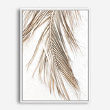 Shop Dried Palm Leaf II Photo Canvas Print a coastal themed photography framed stretched canvas print from The Print Emporium wall artwork collection - Buy Australian made prints for the home and your interior decor space, TPE-1235-CA-35X46-NF