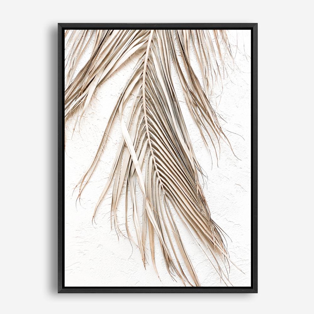 Shop Dried Palm Leaf II Photo Canvas Print a coastal themed photography framed stretched canvas print from The Print Emporium wall artwork collection - Buy Australian made prints for the home and your interior decor space, TPE-1235-CA-35X46-NF