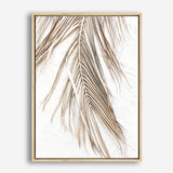 Shop Dried Palm Leaf II Photo Canvas Print a coastal themed photography framed stretched canvas print from The Print Emporium wall artwork collection - Buy Australian made prints for the home and your interior decor space, TPE-1235-CA-35X46-NF