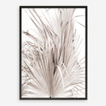Shop Dried Palm Leaves III Photo Art Print a photography wall art print from The Print Emporium wall artwork collection - Buy Australian made fine art poster and framed prints for the home and your interior decor room, TPE-781-AP
