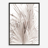 Shop Dried Palm Leaves III Photo Art Print a photography wall art print from The Print Emporium wall artwork collection - Buy Australian made fine art poster and framed prints for the home and your interior decor room, TPE-781-AP