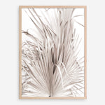 Shop Dried Palm Leaves III Photo Art Print a photography wall art print from The Print Emporium wall artwork collection - Buy Australian made fine art poster and framed prints for the home and your interior decor room, TPE-781-AP