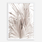 Shop Dried Palm Leaves III Photo Art Print a photography wall art print from The Print Emporium wall artwork collection - Buy Australian made fine art poster and framed prints for the home and your interior decor room, TPE-781-AP