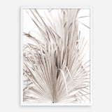 Shop Dried Palm Leaves III Photo Art Print a photography wall art print from The Print Emporium wall artwork collection - Buy Australian made fine art poster and framed prints for the home and your interior decor room, TPE-781-AP