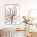 Shop Dried Palm Leaves III Photo Art Print a photography wall art print from The Print Emporium wall artwork collection - Buy Australian made fine art poster and framed prints for the home and your interior decor room, TPE-781-AP
