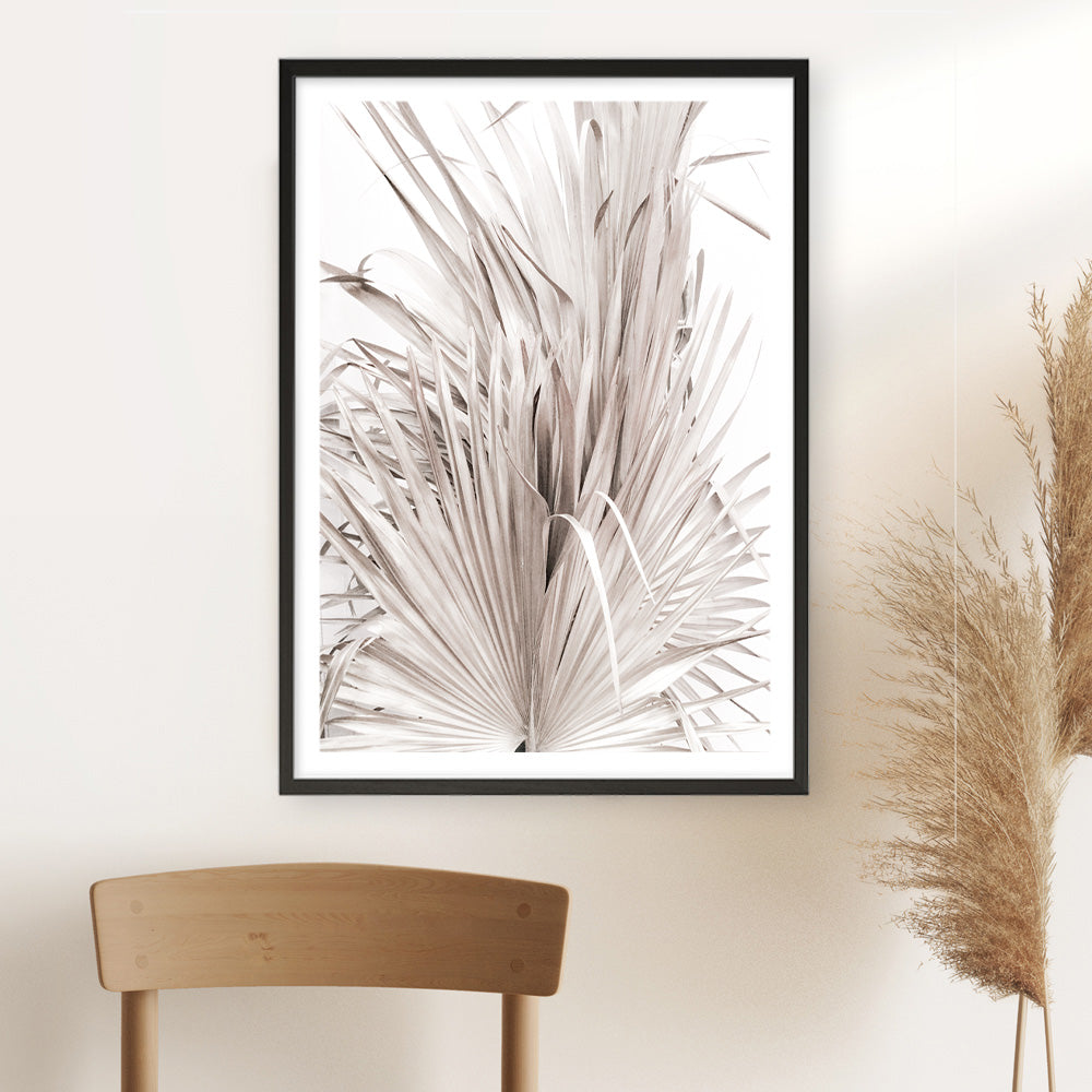 Shop Dried Palm Leaves III Photo Art Print a photography wall art print from The Print Emporium wall artwork collection - Buy Australian made fine art poster and framed prints for the home and your interior decor room, TPE-781-AP
