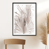 Shop Dried Palm Leaves III Photo Art Print a photography wall art print from The Print Emporium wall artwork collection - Buy Australian made fine art poster and framed prints for the home and your interior decor room, TPE-781-AP