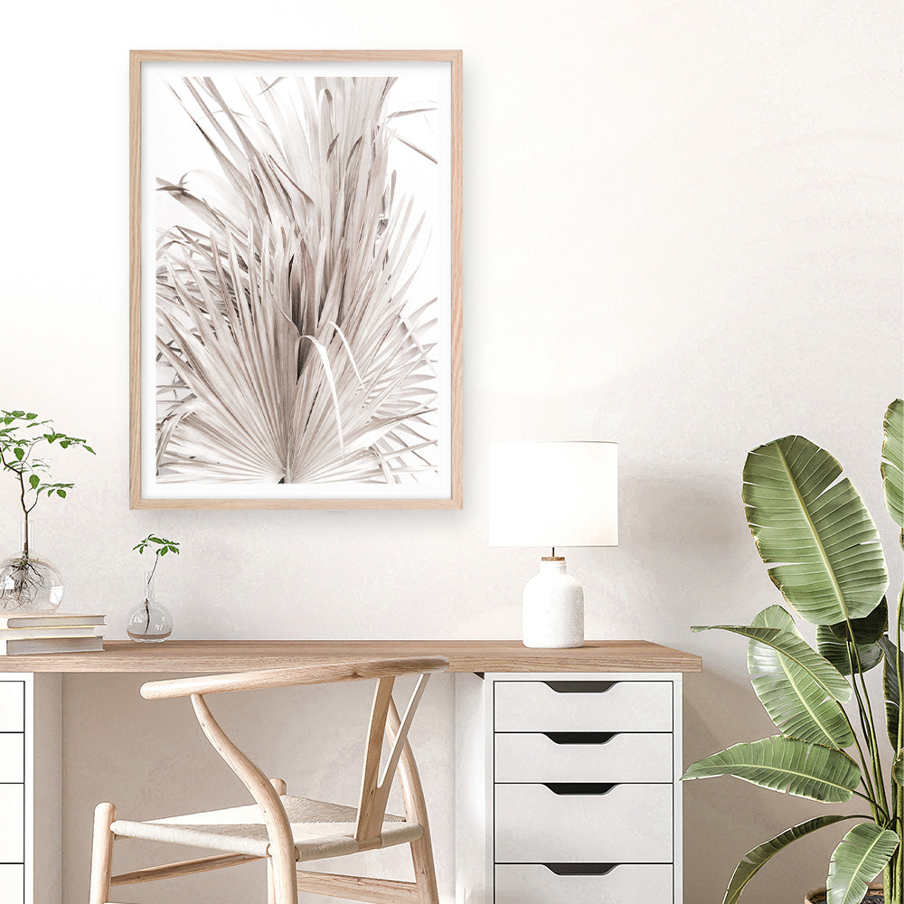 Shop Dried Palm Leaves III Photo Art Print a photography wall art print from The Print Emporium wall artwork collection - Buy Australian made fine art poster and framed prints for the home and your interior decor room, TPE-781-AP