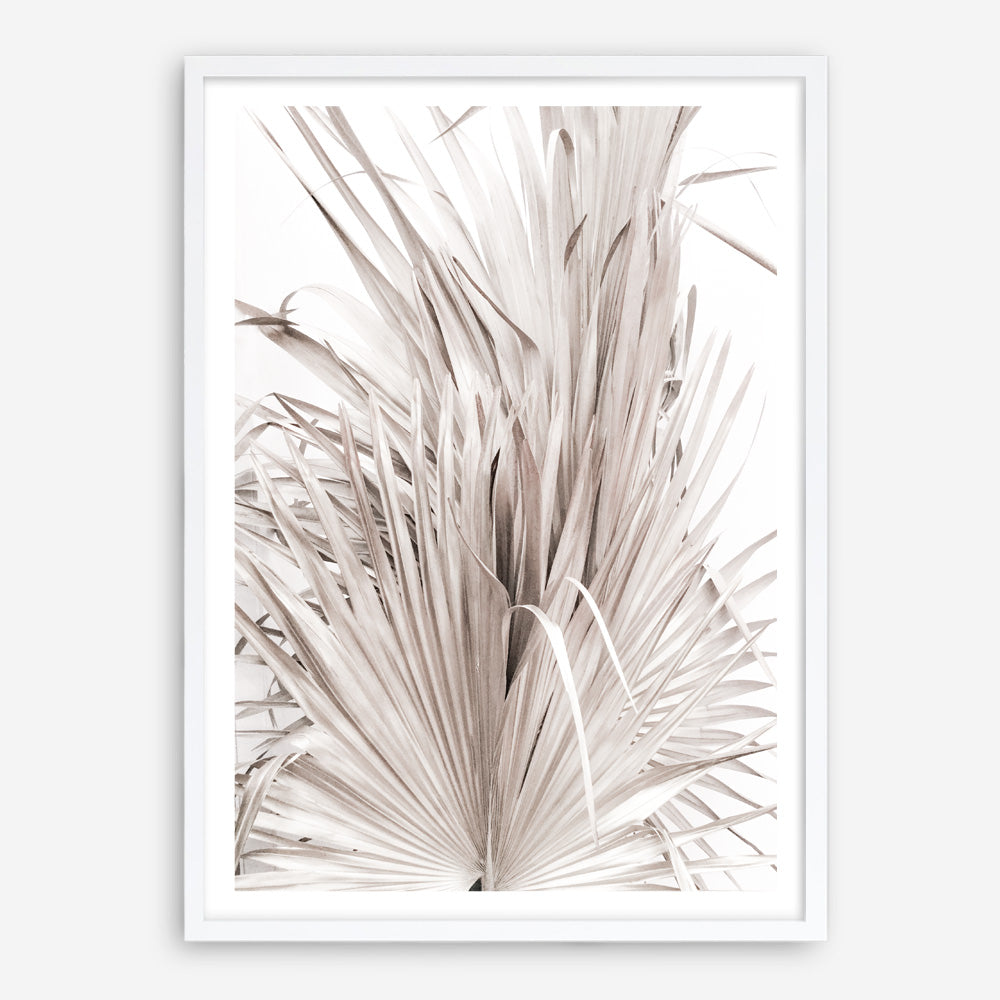 Shop Dried Palm Leaves III Photo Art Print a photography wall art print from The Print Emporium wall artwork collection - Buy Australian made fine art poster and framed prints for the home and your interior decor room, TPE-781-AP