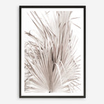 Shop Dried Palm Leaves III Photo Art Print a photography wall art print from The Print Emporium wall artwork collection - Buy Australian made fine art poster and framed prints for the home and your interior decor room, TPE-781-AP