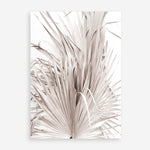 Shop Dried Palm Leaves III Photo Art Print a photography wall art print from The Print Emporium wall artwork collection - Buy Australian made fine art poster and framed prints for the home and your interior decor room, TPE-781-AP