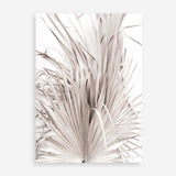Shop Dried Palm Leaves III Photo Art Print a photography wall art print from The Print Emporium wall artwork collection - Buy Australian made fine art poster and framed prints for the home and your interior decor room, TPE-781-AP