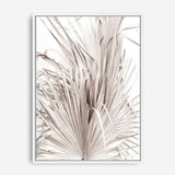 Shop Dried Palm Leaves III Photo Canvas Print a photography framed stretched canvas print from The Print Emporium wall artwork collection - Buy Australian made prints for the home and your interior decor space, TPE-781-CA-35X46-NF