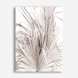 Shop Dried Palm Leaves III Photo Canvas Print a photography framed stretched canvas print from The Print Emporium wall artwork collection - Buy Australian made prints for the home and your interior decor space, TPE-781-CA-35X46-NF