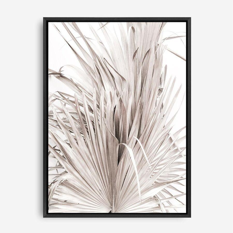 Shop Dried Palm Leaves III Photo Canvas Print a photography framed stretched canvas print from The Print Emporium wall artwork collection - Buy Australian made prints for the home and your interior decor space, TPE-781-CA-35X46-NF