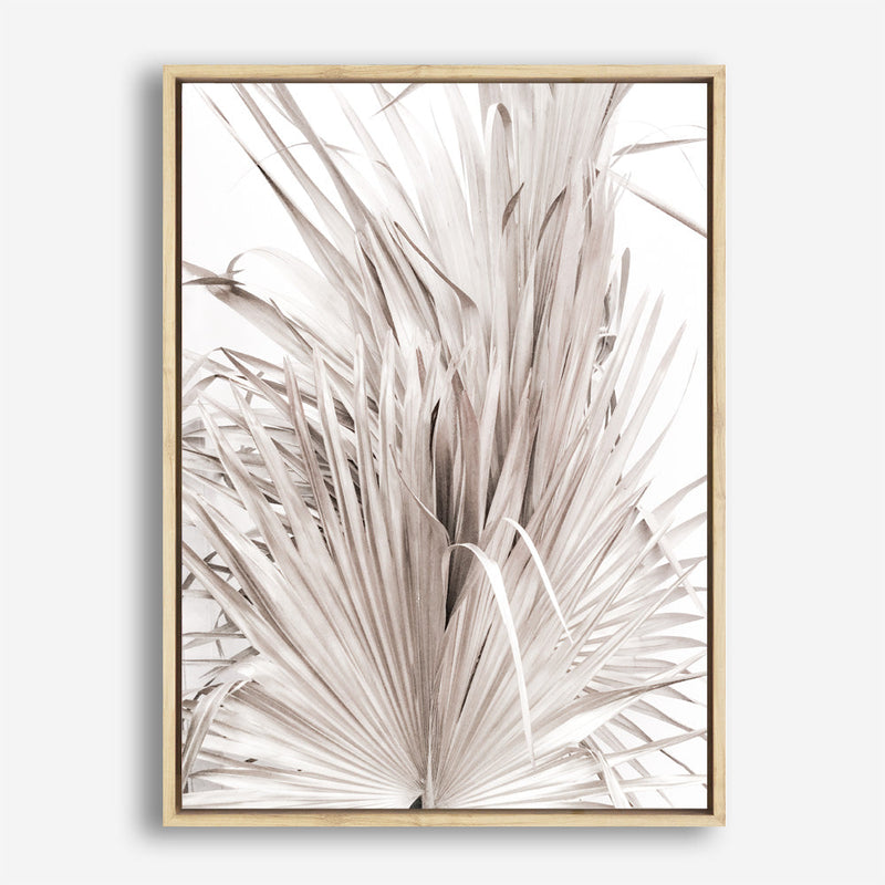 Shop Dried Palm Leaves III Photo Canvas Print a photography framed stretched canvas print from The Print Emporium wall artwork collection - Buy Australian made prints for the home and your interior decor space, TPE-781-CA-35X46-NF