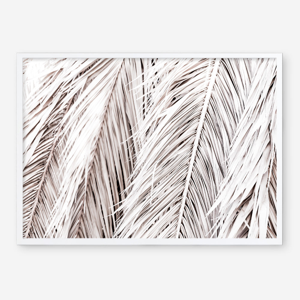 Shop Dried Palm Leaves Photo Art Print a photography wall art print from The Print Emporium wall artwork collection - Buy Australian made fine art poster and framed prints for the home and your interior decor room, TPE-701-AP