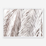 Shop Dried Palm Leaves Photo Art Print a photography wall art print from The Print Emporium wall artwork collection - Buy Australian made fine art poster and framed prints for the home and your interior decor room, TPE-701-AP