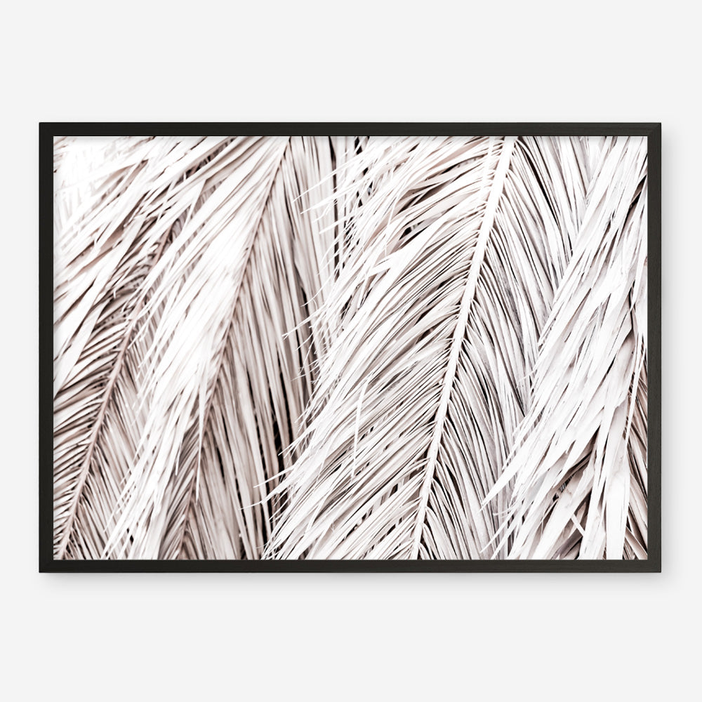 Shop Dried Palm Leaves Photo Art Print a photography wall art print from The Print Emporium wall artwork collection - Buy Australian made fine art poster and framed prints for the home and your interior decor room, TPE-701-AP