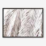 Shop Dried Palm Leaves Photo Art Print a photography wall art print from The Print Emporium wall artwork collection - Buy Australian made fine art poster and framed prints for the home and your interior decor room, TPE-701-AP