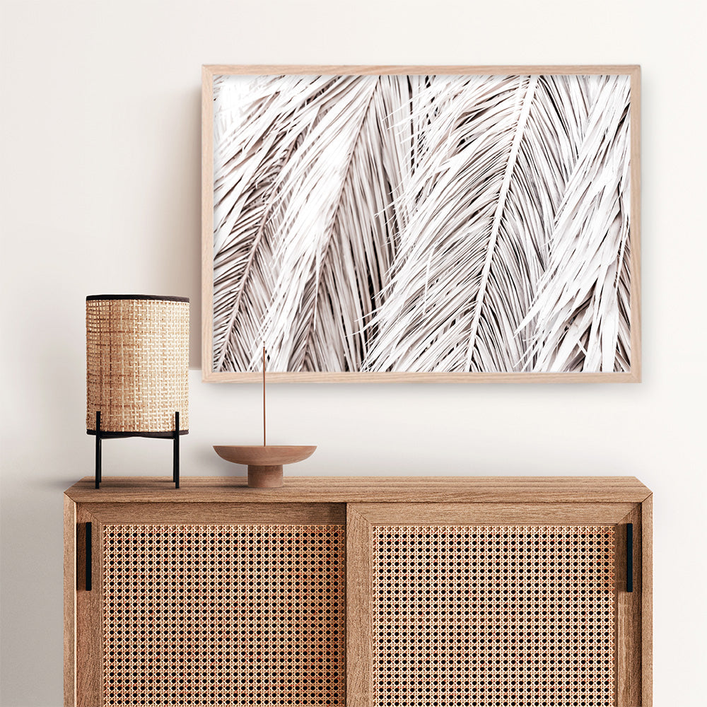 Shop Dried Palm Leaves Photo Art Print a photography wall art print from The Print Emporium wall artwork collection - Buy Australian made fine art poster and framed prints for the home and your interior decor room, TPE-701-AP