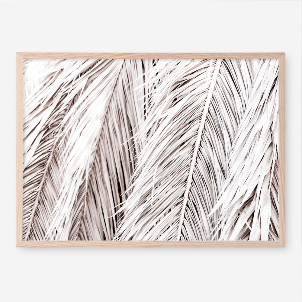 Shop Dried Palm Leaves Photo Art Print a photography wall art print from The Print Emporium wall artwork collection - Buy Australian made fine art poster and framed prints for the home and your interior decor room, TPE-701-AP