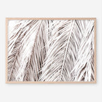 Shop Dried Palm Leaves Photo Art Print a photography wall art print from The Print Emporium wall artwork collection - Buy Australian made fine art poster and framed prints for the home and your interior decor room, TPE-701-AP