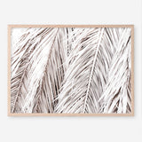 Shop Dried Palm Leaves Photo Art Print a photography wall art print from The Print Emporium wall artwork collection - Buy Australian made fine art poster and framed prints for the home and your interior decor room, TPE-701-AP