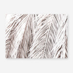 Shop Dried Palm Leaves Photo Art Print a photography wall art print from The Print Emporium wall artwork collection - Buy Australian made fine art poster and framed prints for the home and your interior decor room, TPE-701-AP