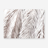 Shop Dried Palm Leaves Photo Art Print a photography wall art print from The Print Emporium wall artwork collection - Buy Australian made fine art poster and framed prints for the home and your interior decor room, TPE-701-AP