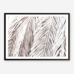 Shop Dried Palm Leaves Photo Art Print a photography wall art print from The Print Emporium wall artwork collection - Buy Australian made fine art poster and framed prints for the home and your interior decor room, TPE-701-AP