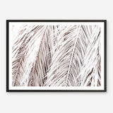Shop Dried Palm Leaves Photo Art Print a photography wall art print from The Print Emporium wall artwork collection - Buy Australian made fine art poster and framed prints for the home and your interior decor room, TPE-701-AP