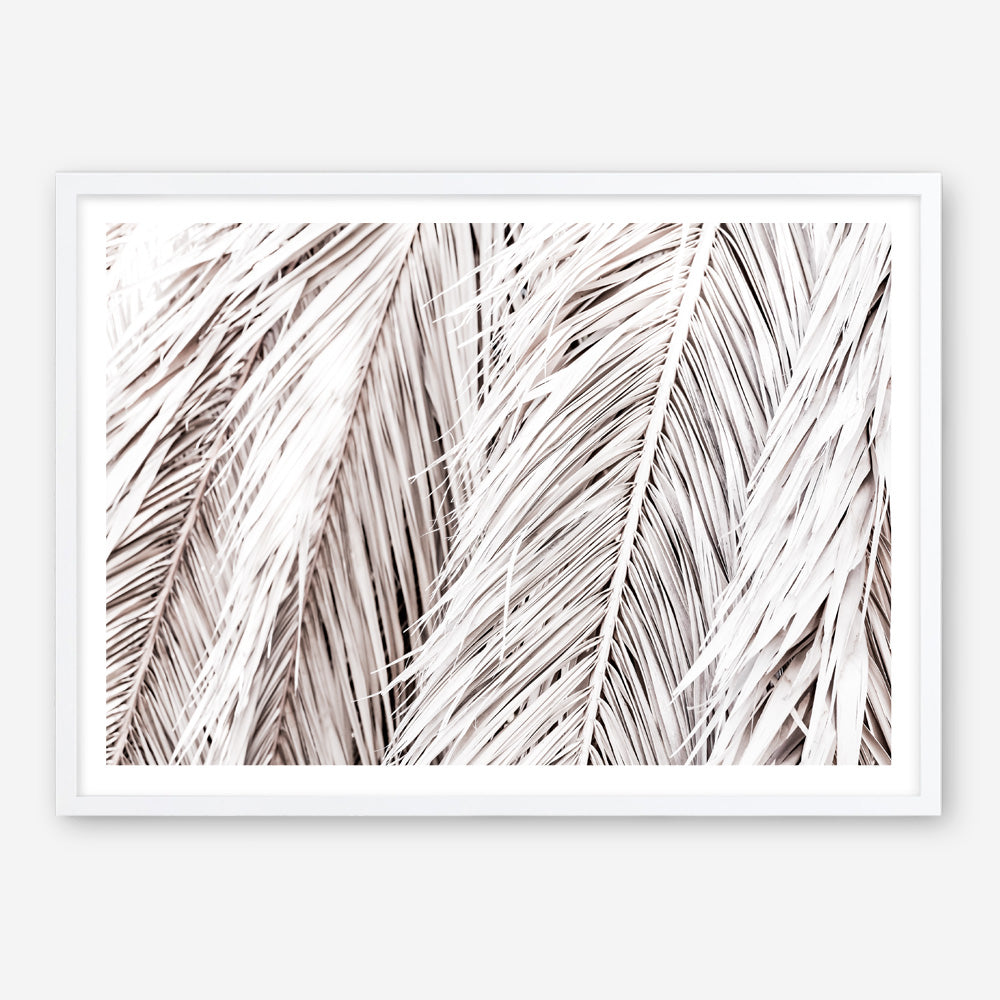 Shop Dried Palm Leaves Photo Art Print a photography wall art print from The Print Emporium wall artwork collection - Buy Australian made fine art poster and framed prints for the home and your interior decor room, TPE-701-AP